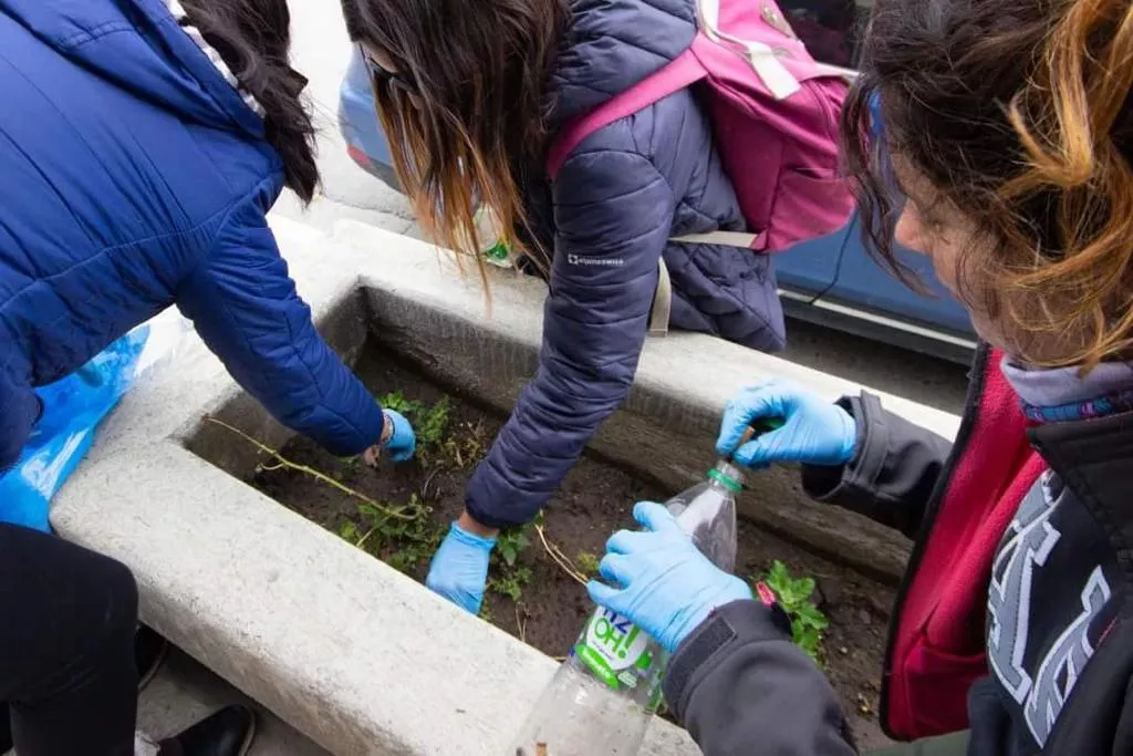 photo_4976900454000732913_y