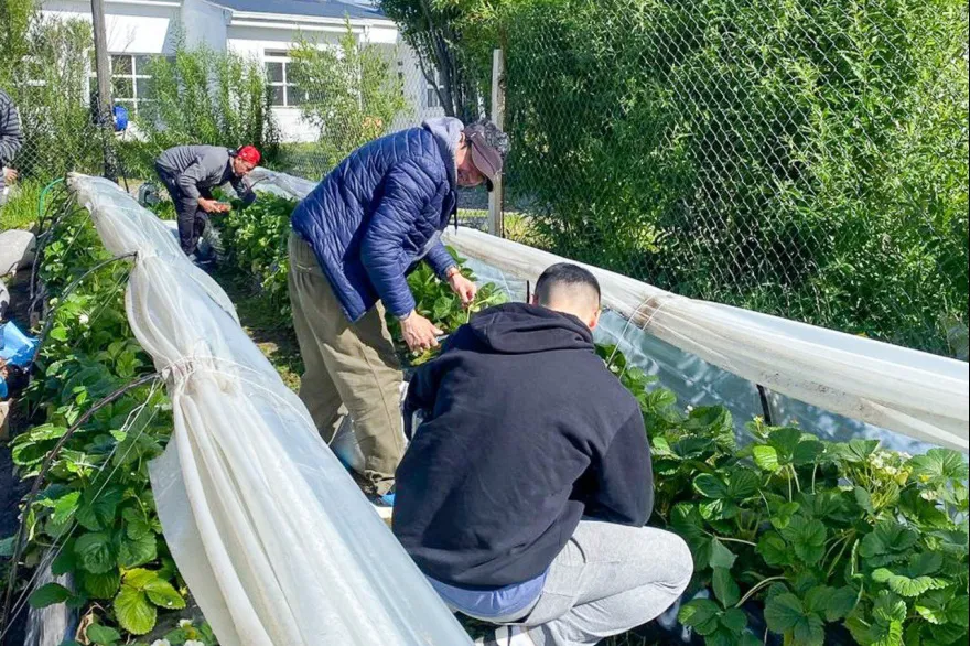 20250225134617_photo_5039990740440165956_y